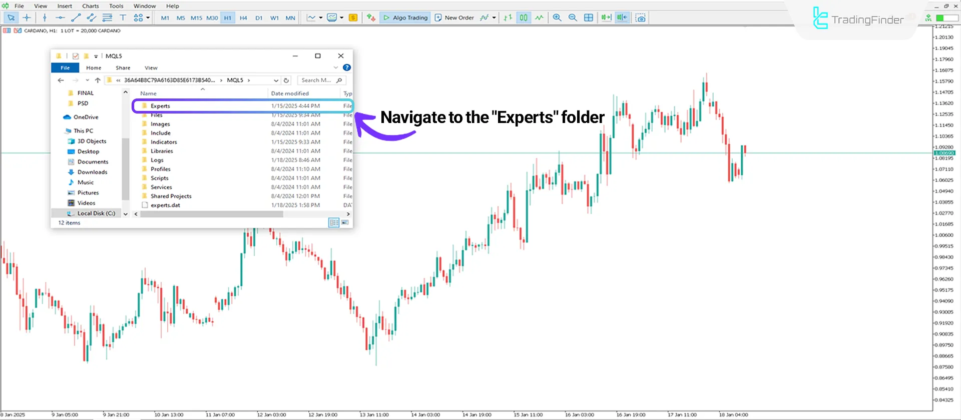 Transferring the Expert file